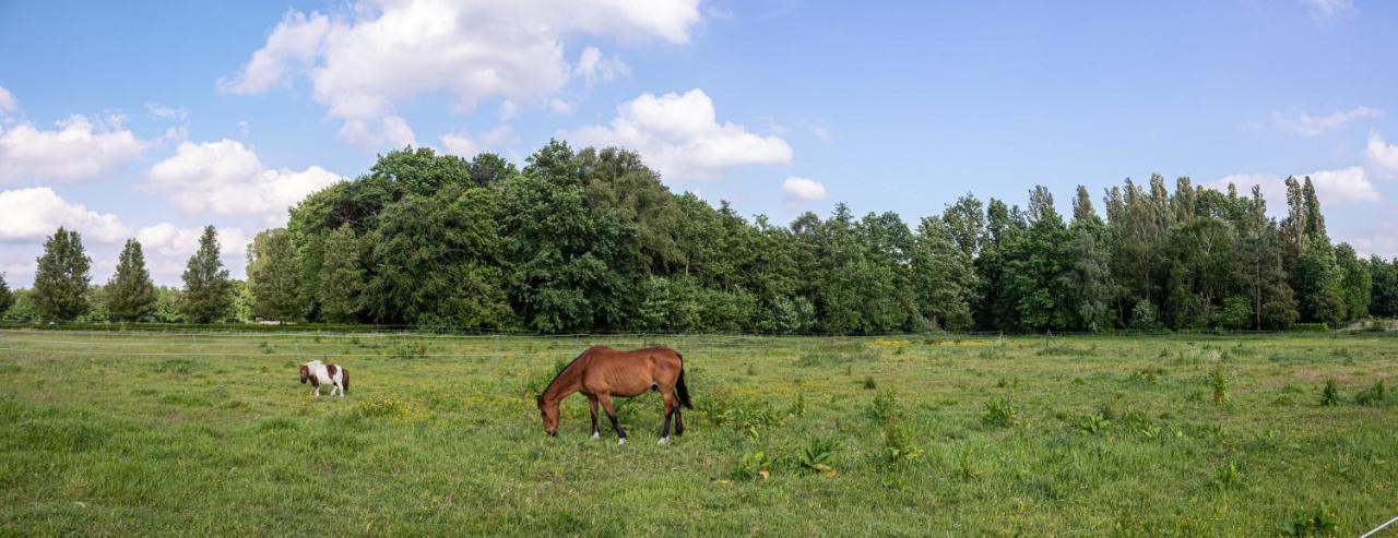 De Lammersdamhoeve Wingene Exteriör bild